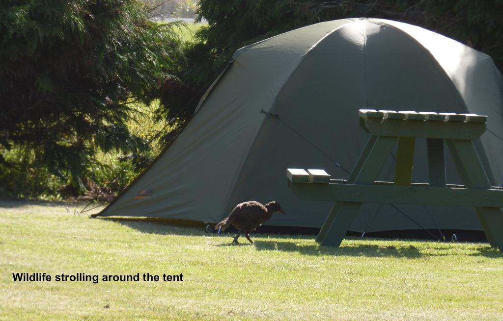 Carters Beach Top 10 Holiday Park Westport Luaran gambar